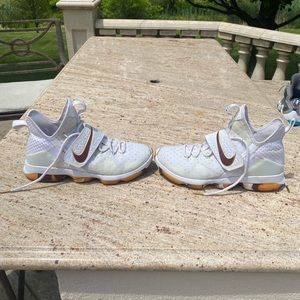 Lebron 14 White Wine